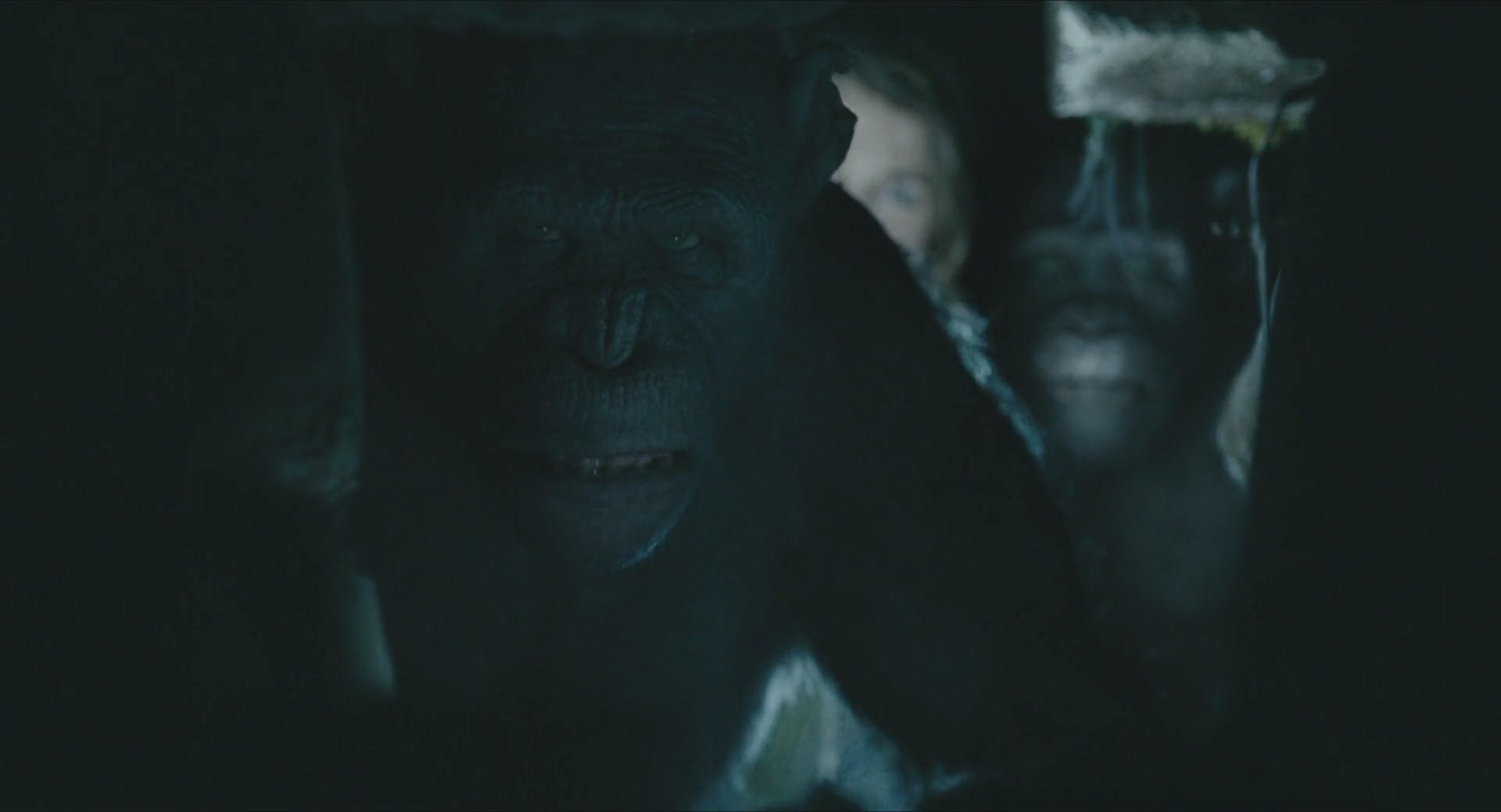 DawnofthePlanetoftheApes-237.jpg