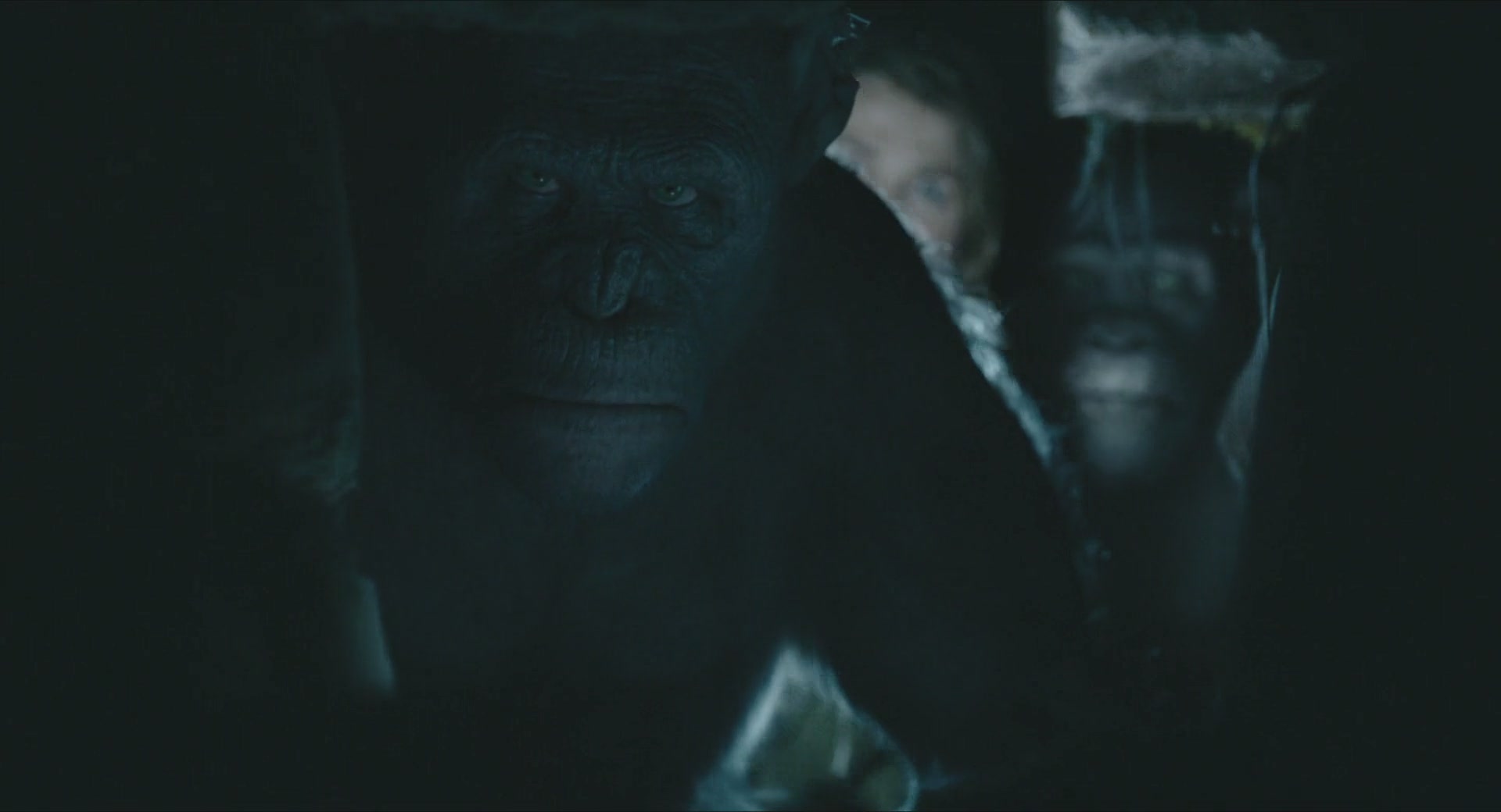 DawnofthePlanetoftheApes-238.jpg