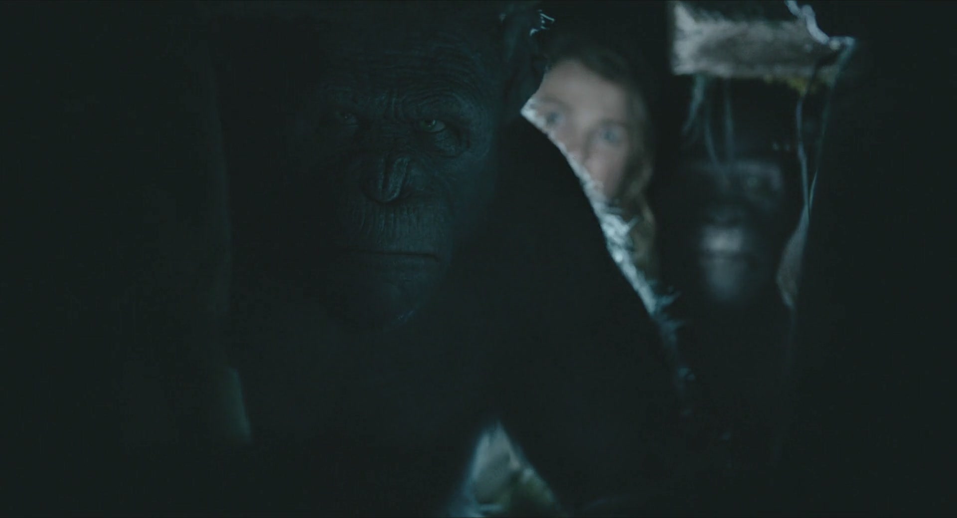 DawnofthePlanetoftheApes-239.jpg