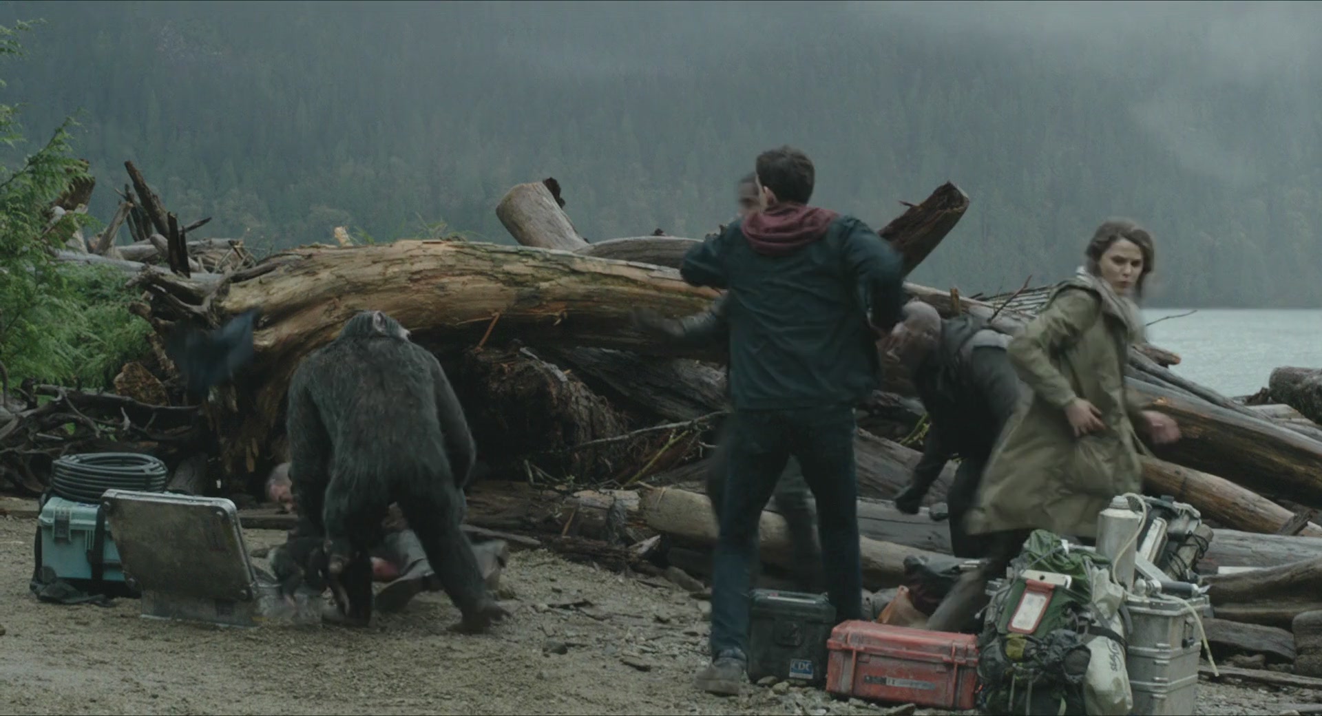 DawnofthePlanetoftheApes-281.jpg