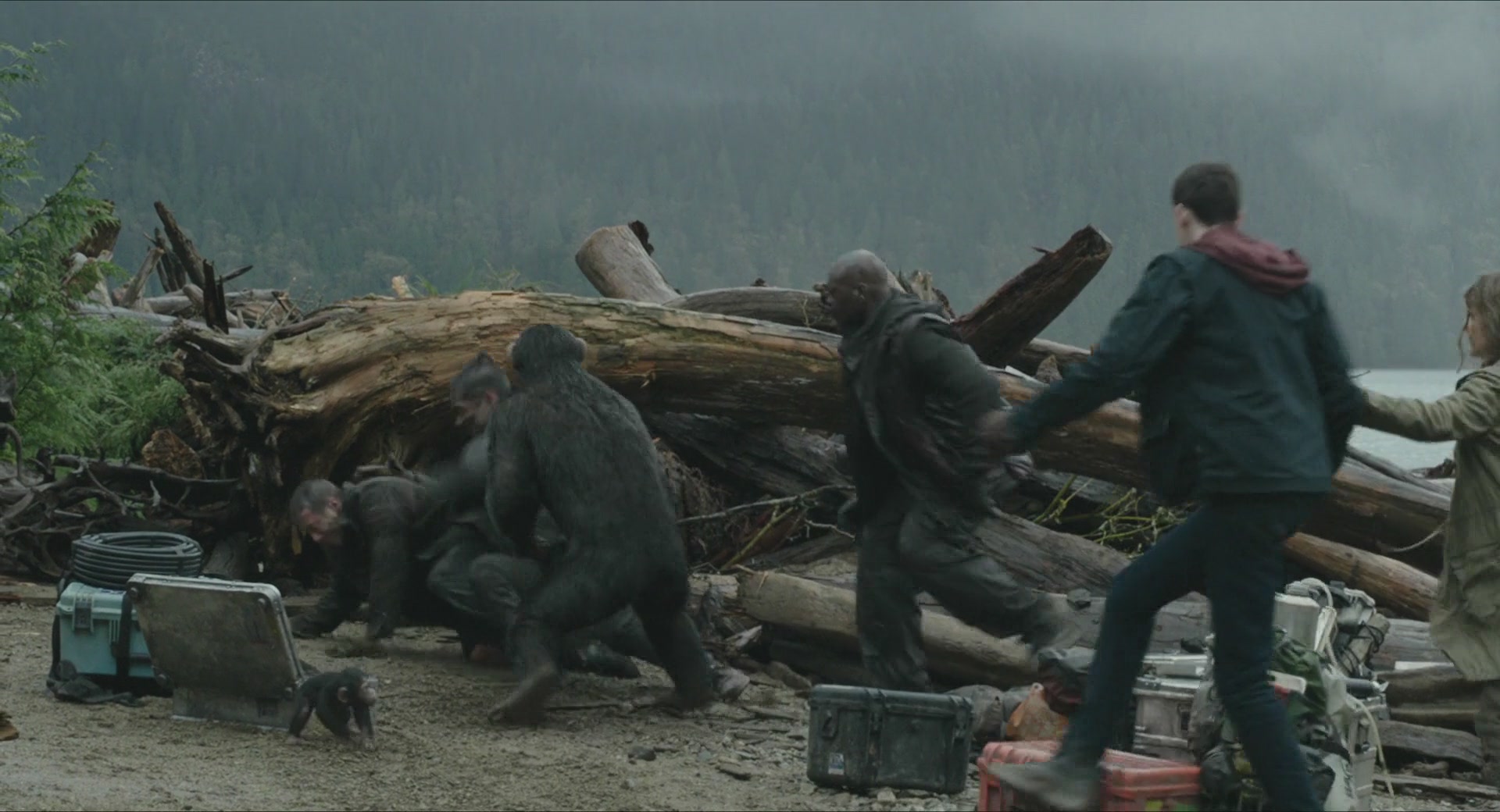 DawnofthePlanetoftheApes-283.jpg