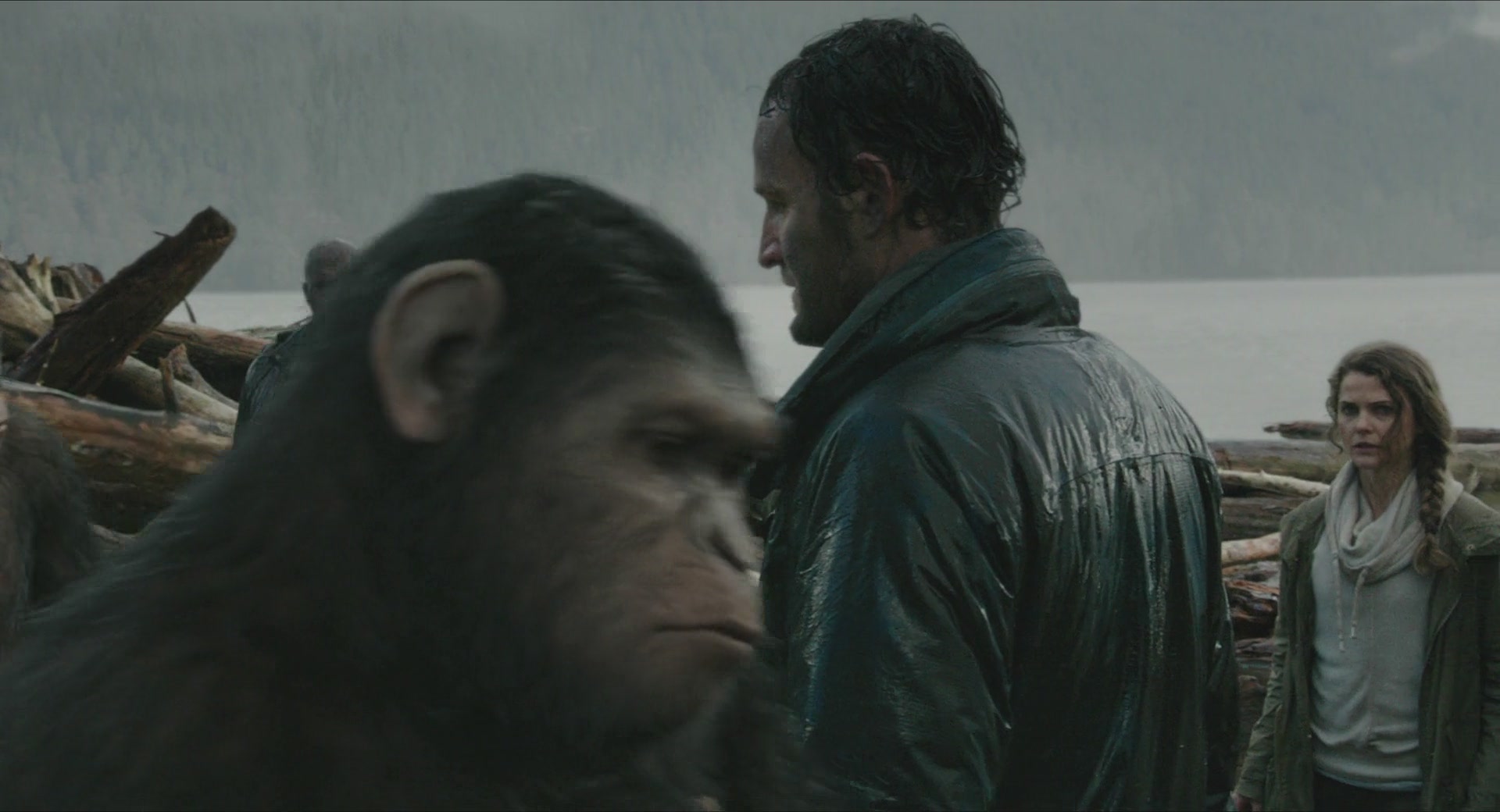 DawnofthePlanetoftheApes-289.jpg