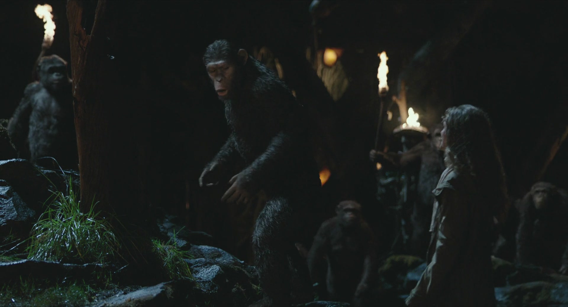 DawnofthePlanetoftheApes-408.jpg