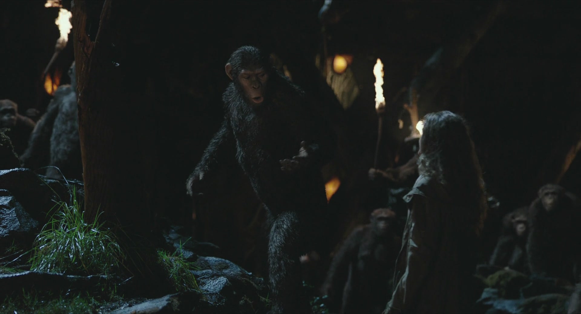 DawnofthePlanetoftheApes-409.jpg