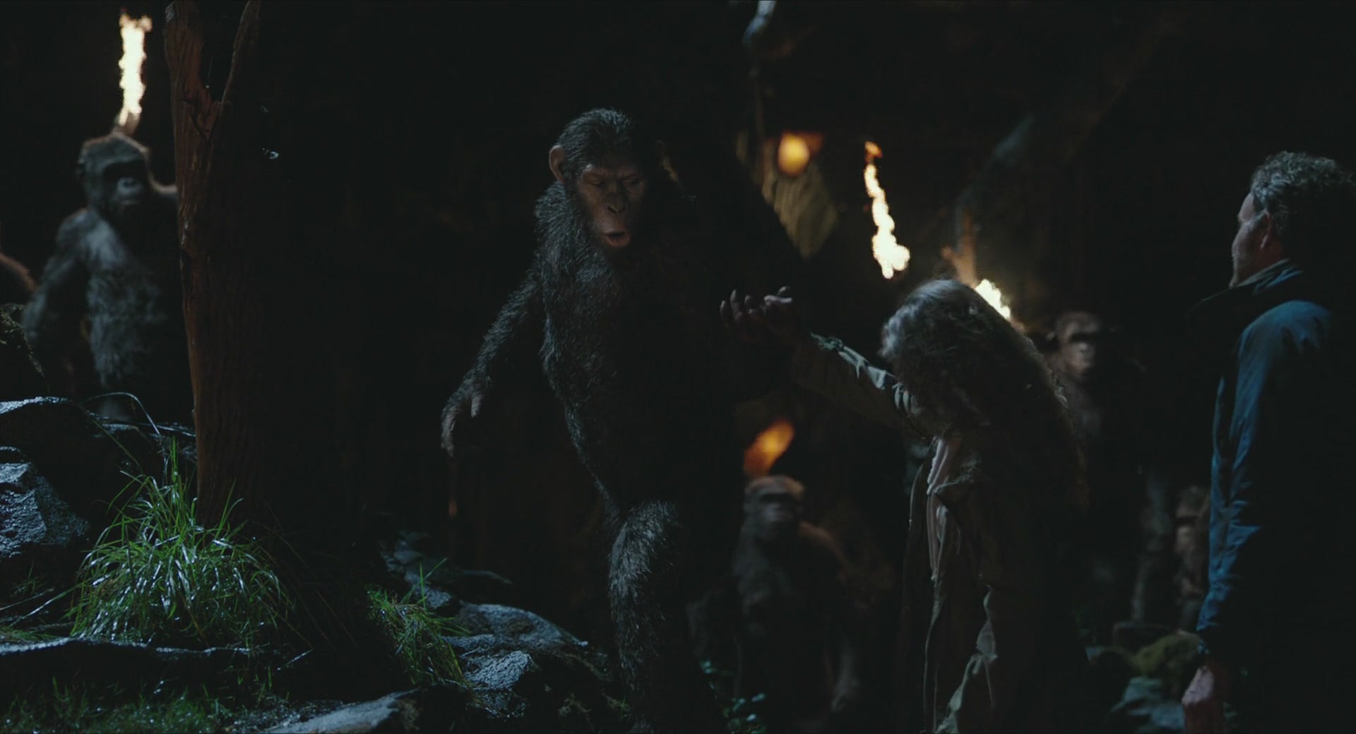 DawnofthePlanetoftheApes-410.jpg