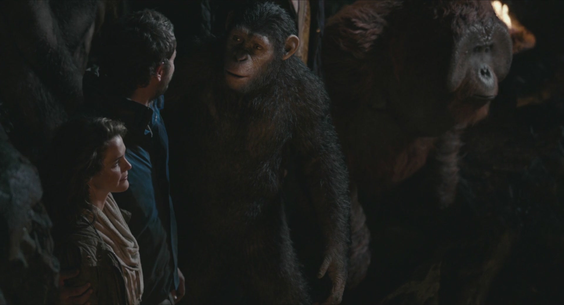 DawnofthePlanetoftheApes-431.jpg