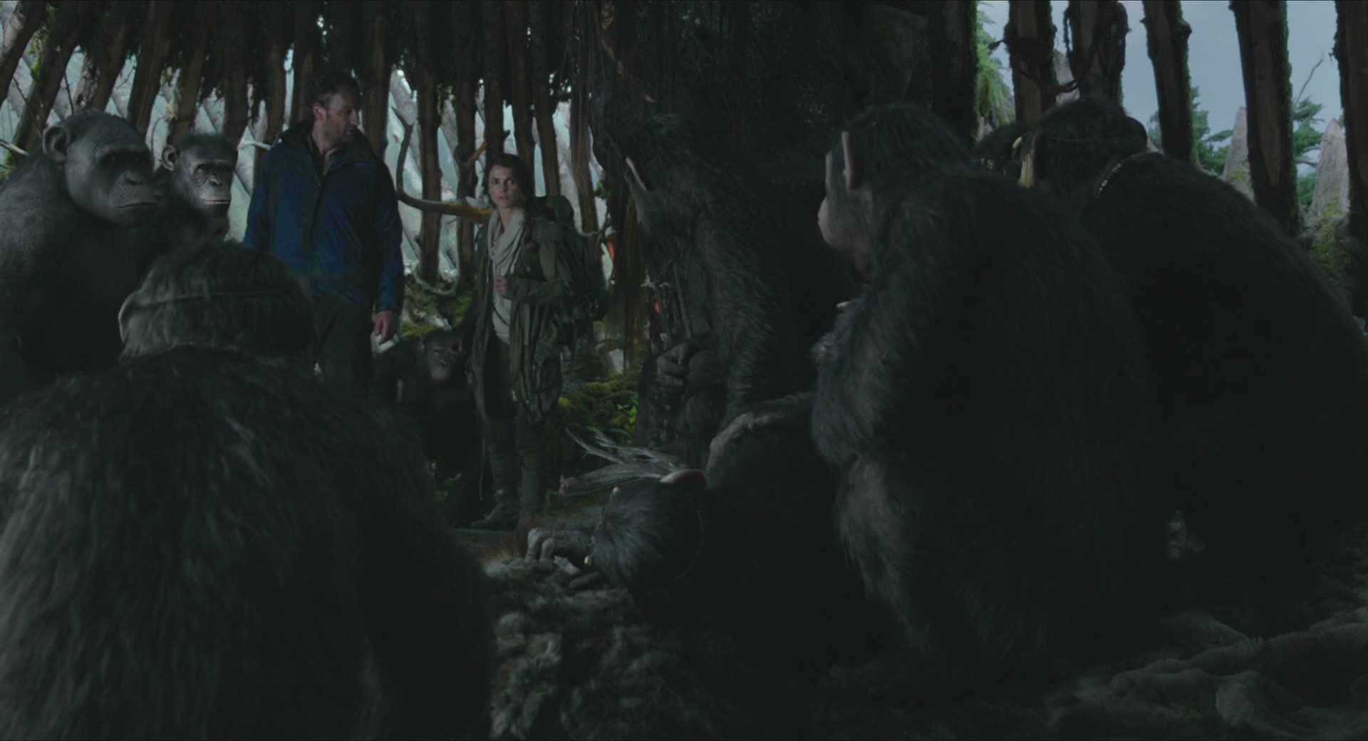 DawnofthePlanetoftheApes-321.jpg
