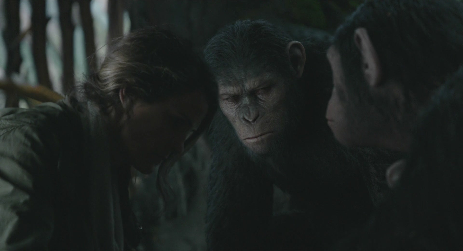 DawnofthePlanetoftheApes-333.jpg