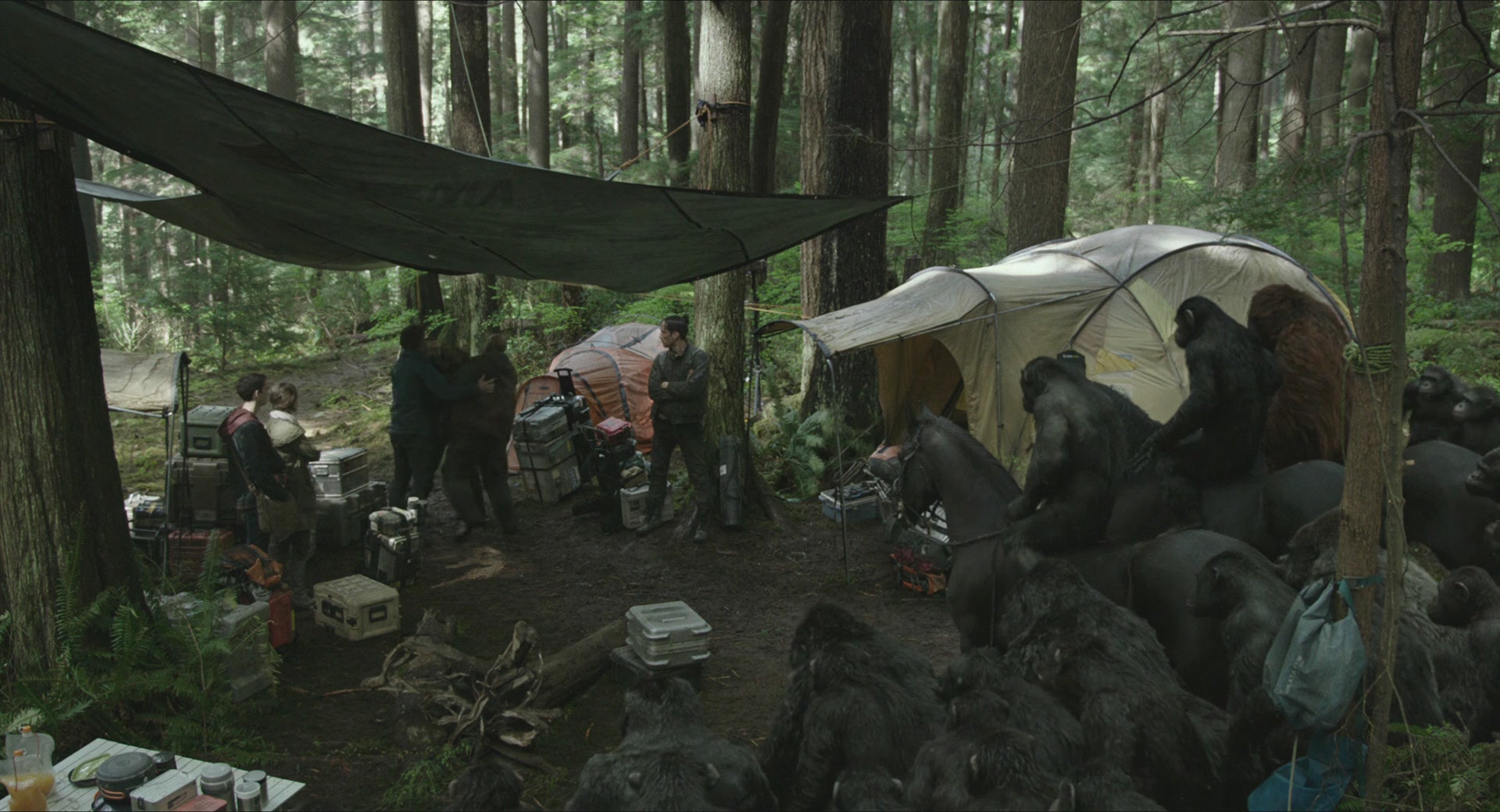 DawnofthePlanetoftheApes-336.jpg