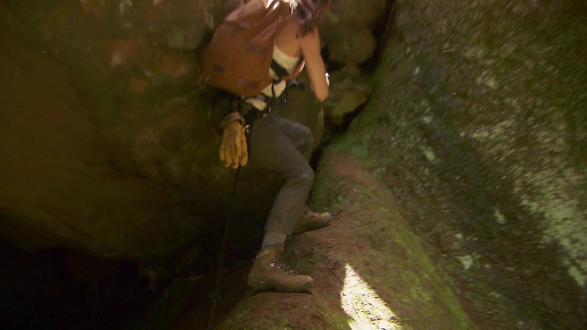 RunningWild-525.jpg