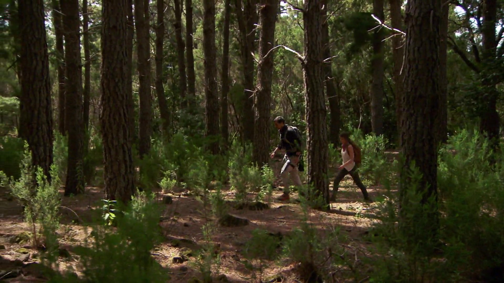 RunningWild-560.jpg