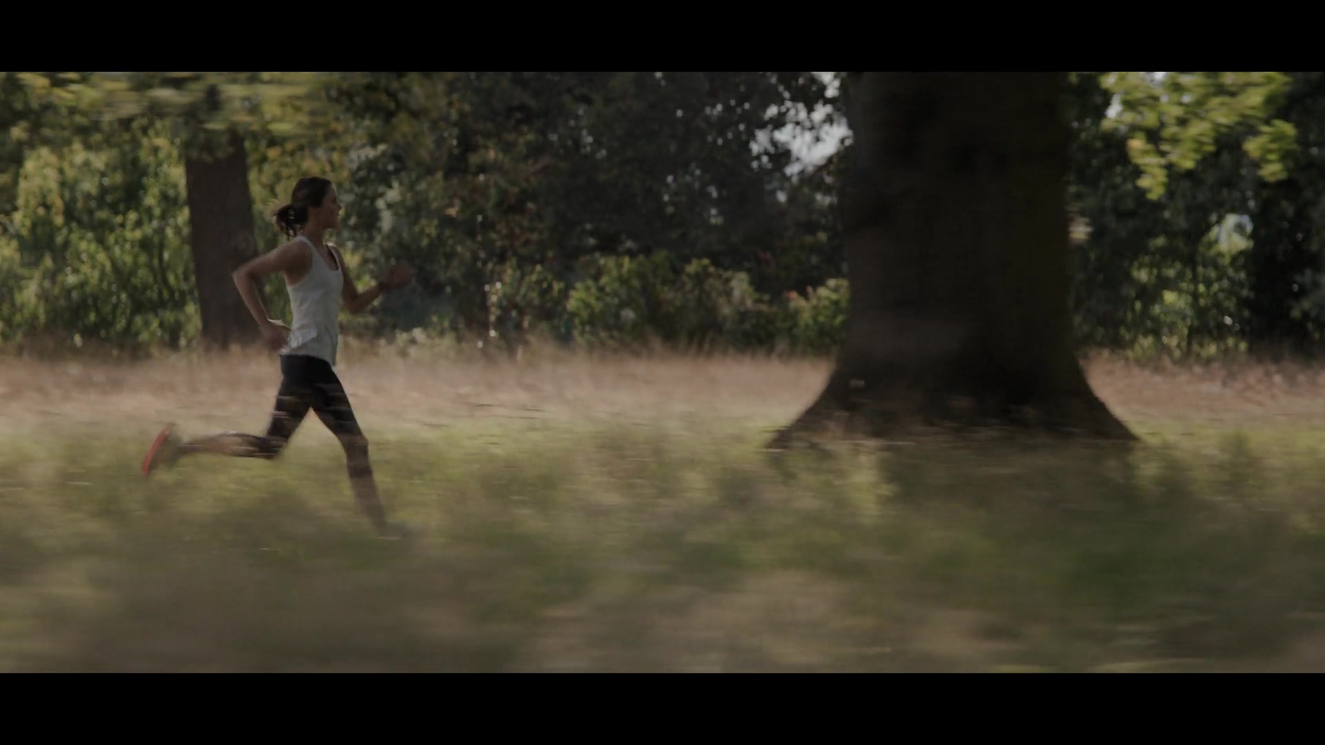 Arden-001.jpg Arden-001.jpg