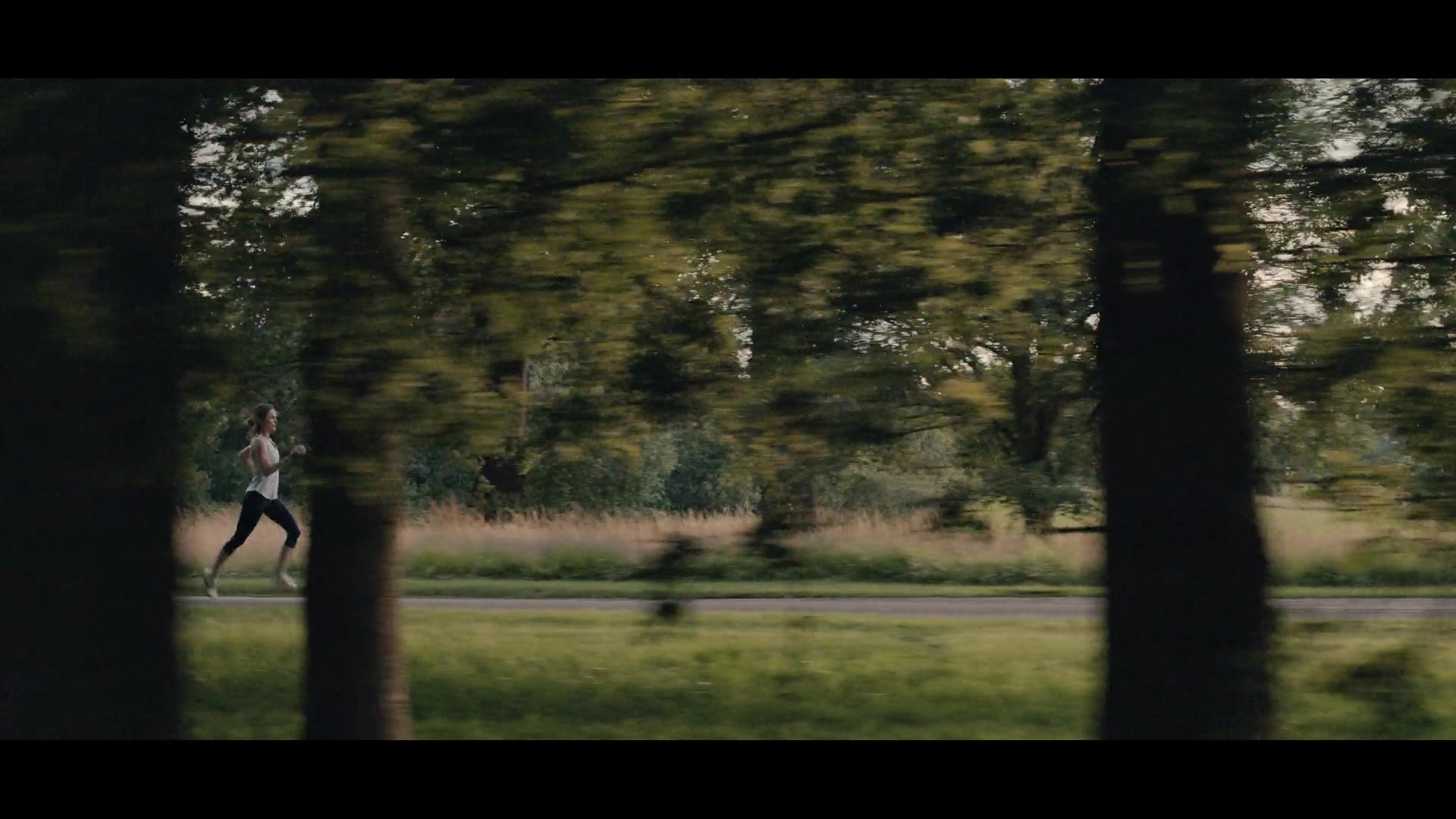 Arden-002.jpg Arden-002.jpg